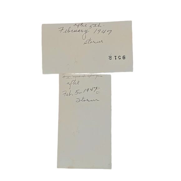 Vtg Snow Scene Tree & Bushes Original Monochrome Photography Found Lot of 2 - Picture 2 of 4